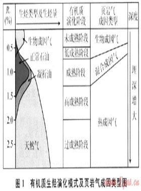 地質異常找礦理論在頁巖氣勘探中的應用