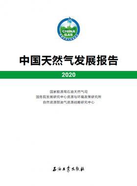 2020中國天然氣發(fā)展報(bào)告（含2017、2018、2019、2020）